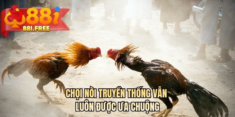 Chọi nòi truyền thống vẫn luôn được ưa chuộng 